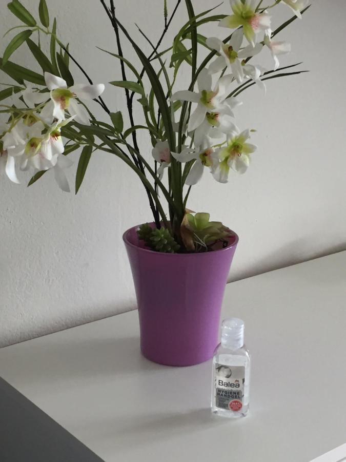 Ferienappartement Grocke Kaprun Luaran gambar